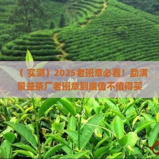 勐满景益茶厂老班章