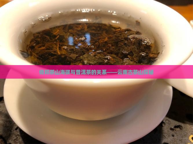 倚邦古茶山海拔