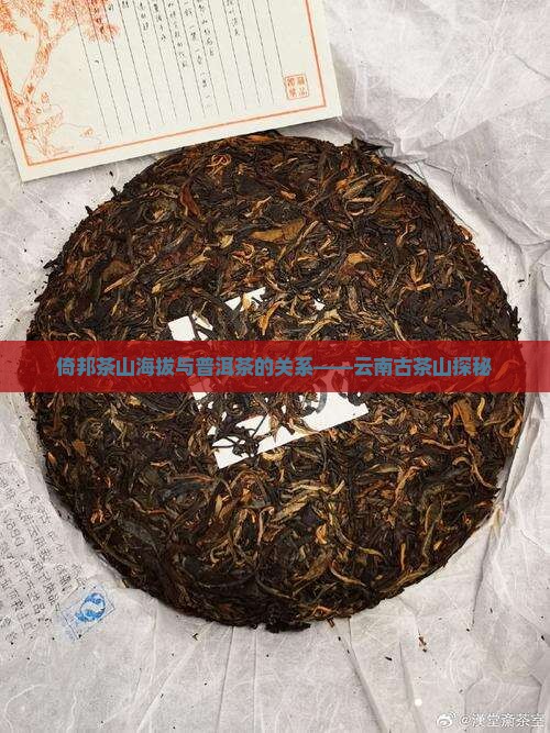 倚邦古茶山海拔