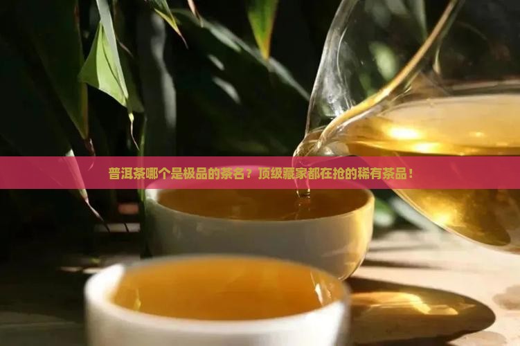 普洱茶哪个是极品的茶名