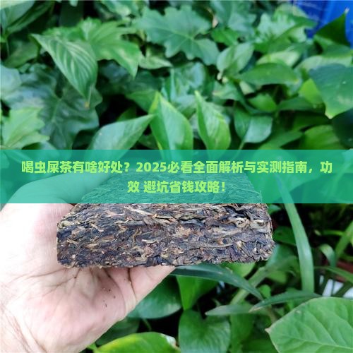 喝虫屎茶有啥好处