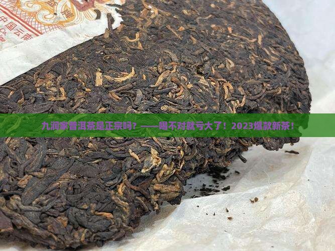 九润家普洱茶是正宗吗