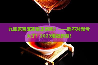 九润家普洱茶是正宗吗