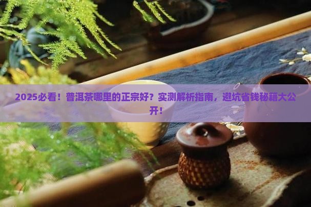 普洱茶哪里的正宗好