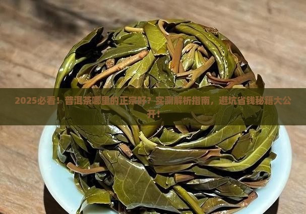 普洱茶哪里的正宗好