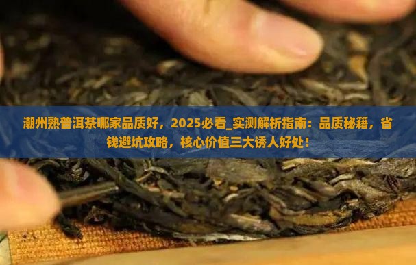 潮州熟普洱茶哪家品质好