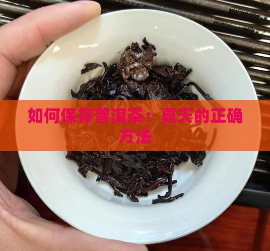 夏天如何保存普洱茶