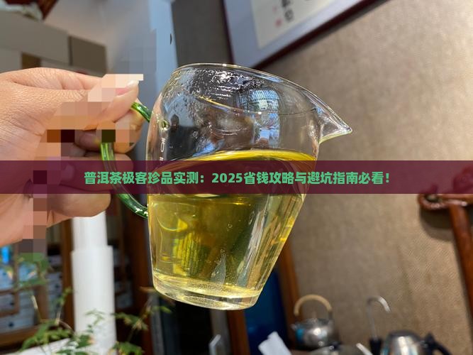 普洱茶极客珍品