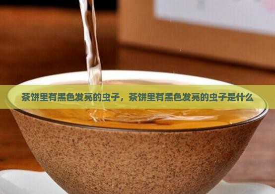 茶饼里有黑色发亮的虫