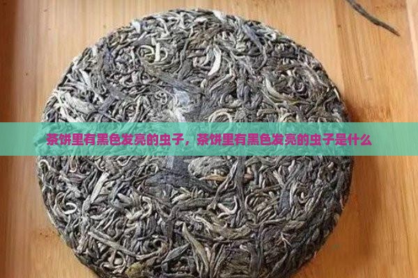 茶饼里有黑色发亮的虫