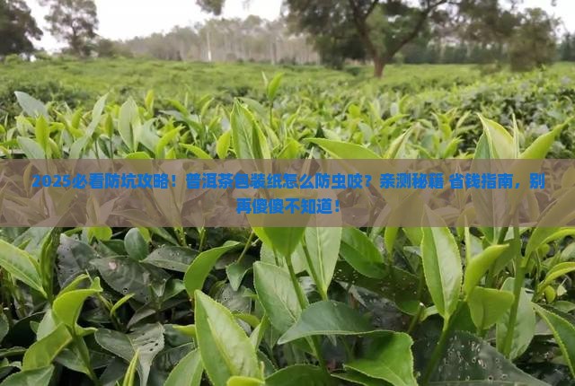 普洱茶包装纸怎样防虫咬