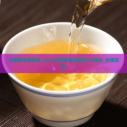 中国普洱茶概况 中国普洱茶概况