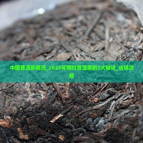 中国普洱茶概况 中国普洱茶概况