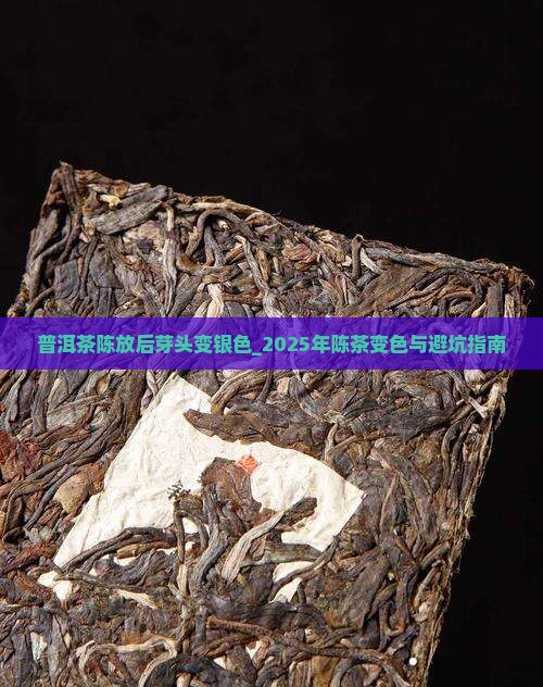 普洱茶陈放后芽头变银色