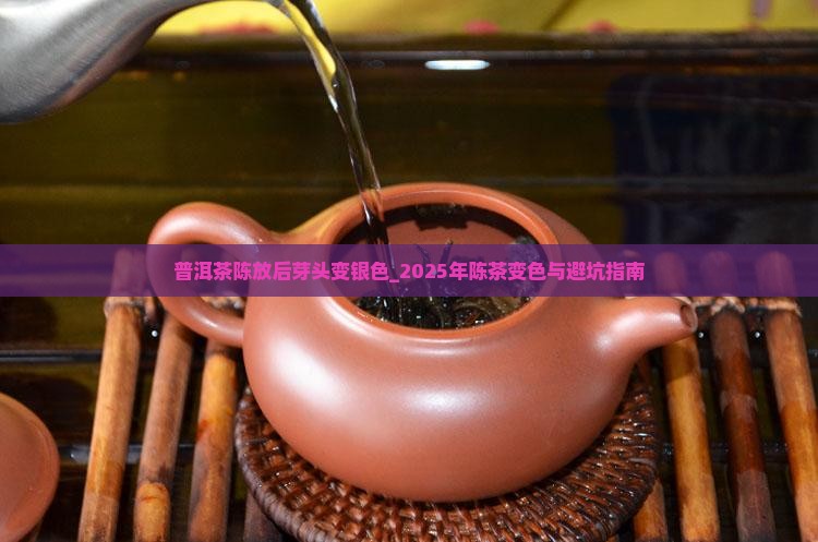 普洱茶陈放后芽头变银色