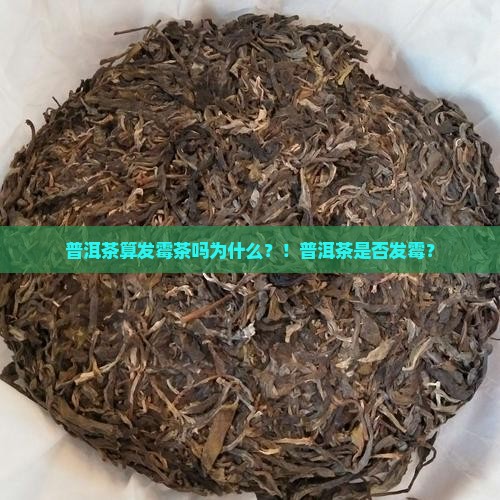 普洱茶算发霉茶吗为什么
