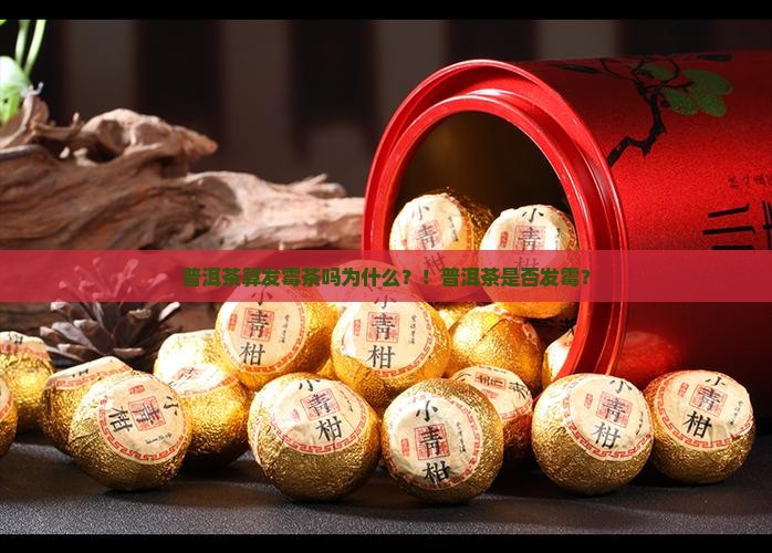 普洱茶算发霉茶吗为什么