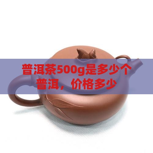 普洱茶500g多少个