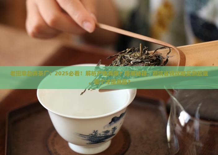 老班章勐养茶厂