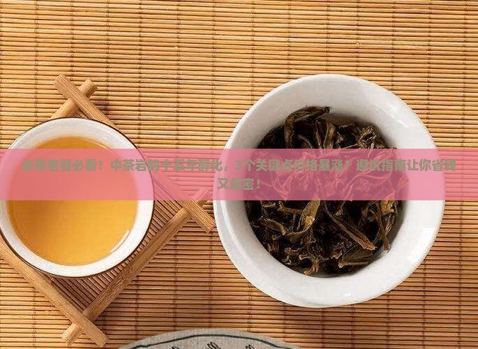 中茶岩韵十五年醇化