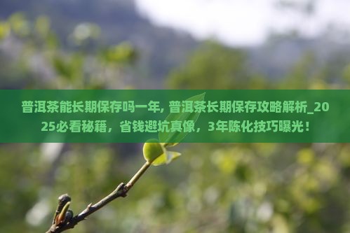 普洱茶能长期保存吗一年
