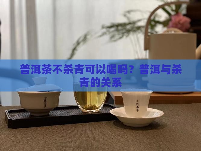 普洱茶不杀青可以喝吗