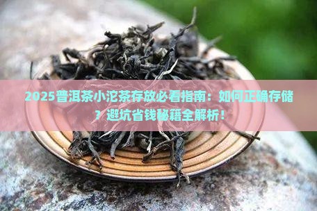 普洱茶小沱茶如何存放