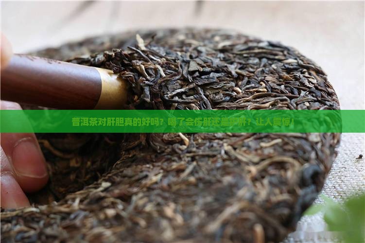普洱茶对肝胆好不好喝了