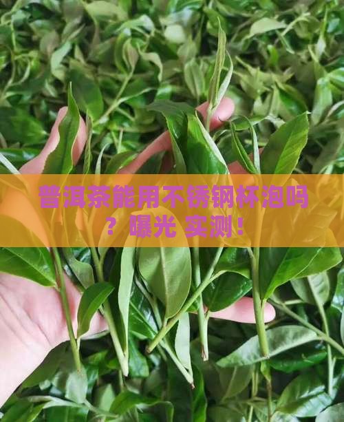 普洱茶可以用不锈钢杯子吗