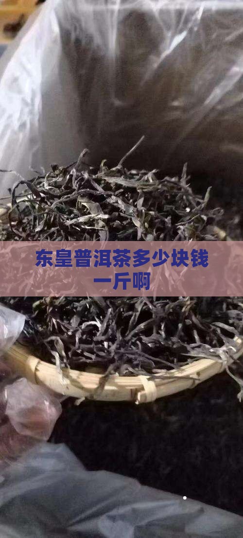 东皇普洱茶多少块钱一斤