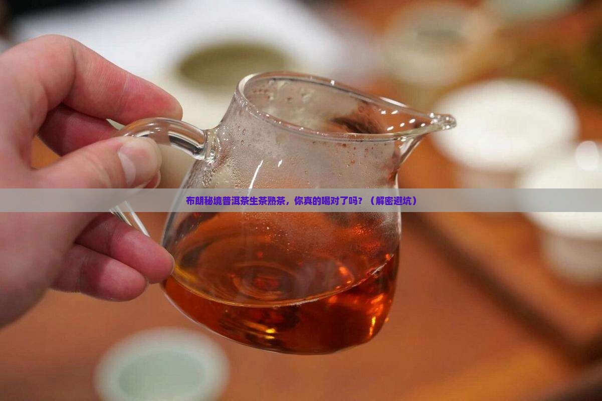 布朗秘境普洱茶生茶熟茶
