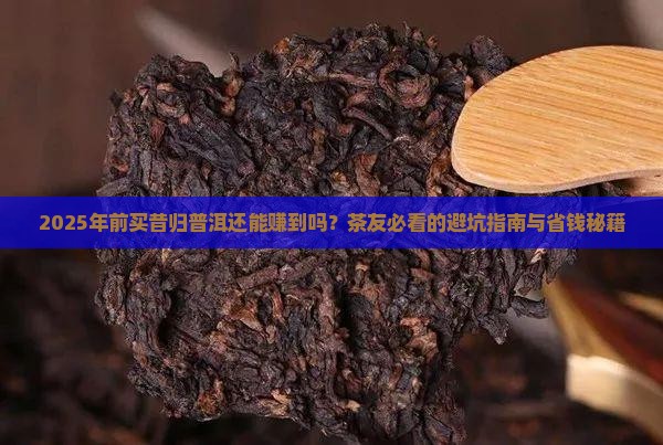 昔归普洱有购买藏价值吗