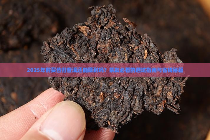 昔归普洱有购买藏价值吗