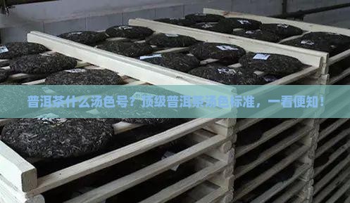 普洱茶什么汤色号