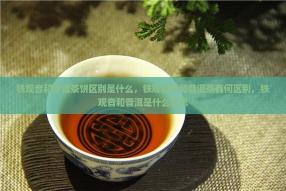 铁观音和普洱茶饼区别是什么
