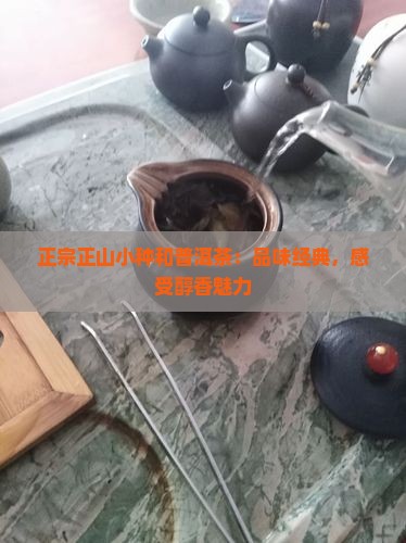 正宗正山小种和普洱茶