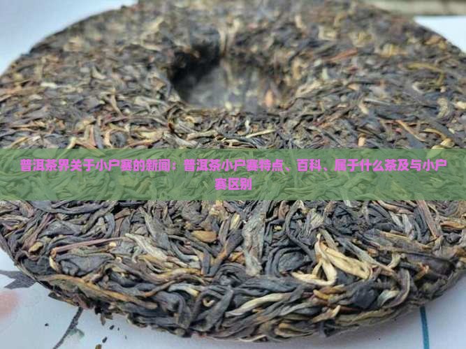 普洱茶界关于小户赛的新闻