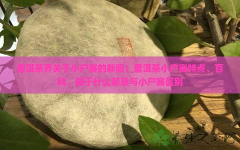 普洱茶界关于小户赛的新闻