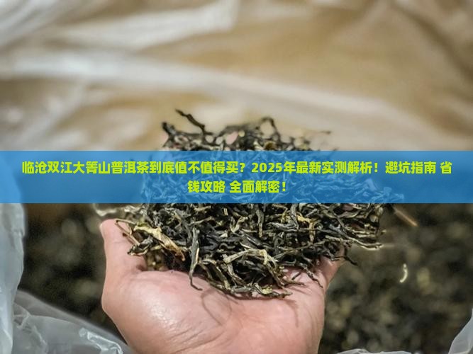 临沧双江大箐山普洱茶