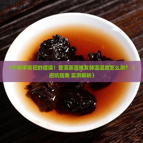 普洱茶渥堆发酵温湿度计