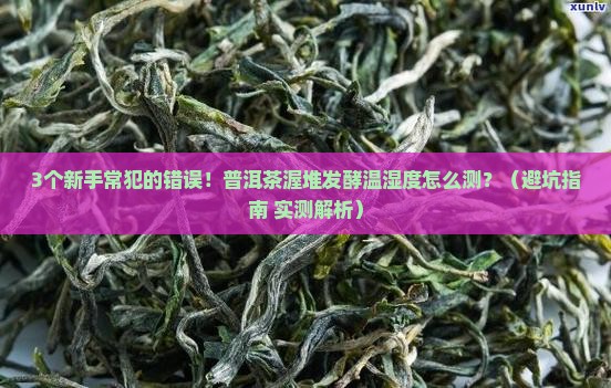 普洱茶渥堆发酵温湿度计