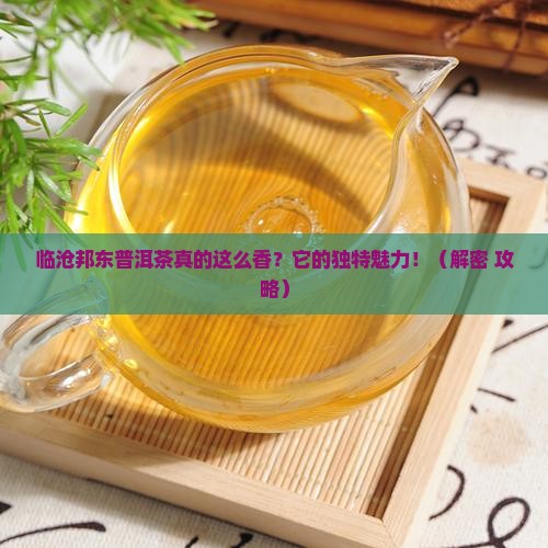 临沧邦东普洱茶特点