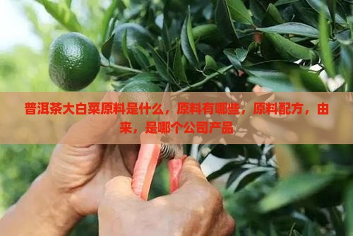 普洱茶大白菜原料