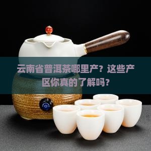 云南省普洱茶分布地区及产区