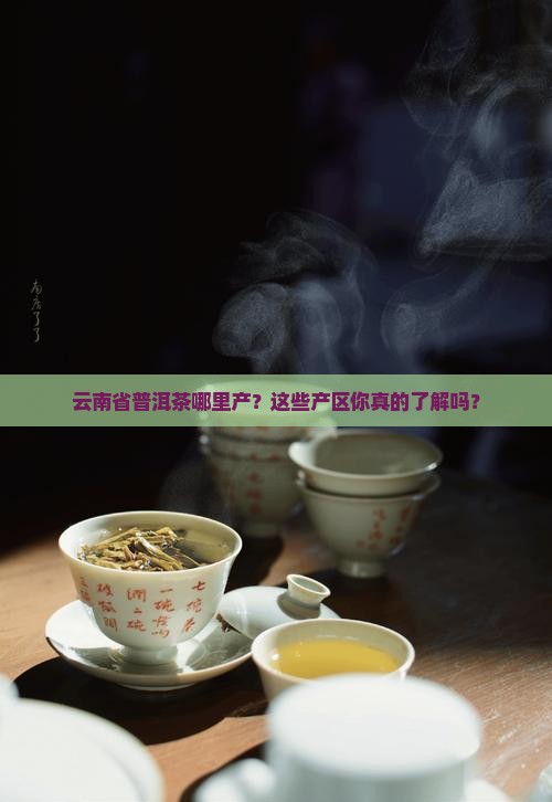云南省普洱茶分布地区及产区