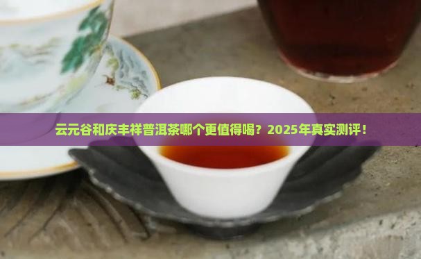 云元谷和庆丰祥普洱茶那个好