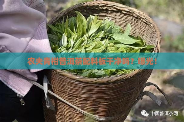农夫青柑普洱茶配料板干净吗
