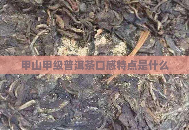 甲山普洱茶口感特点是什么