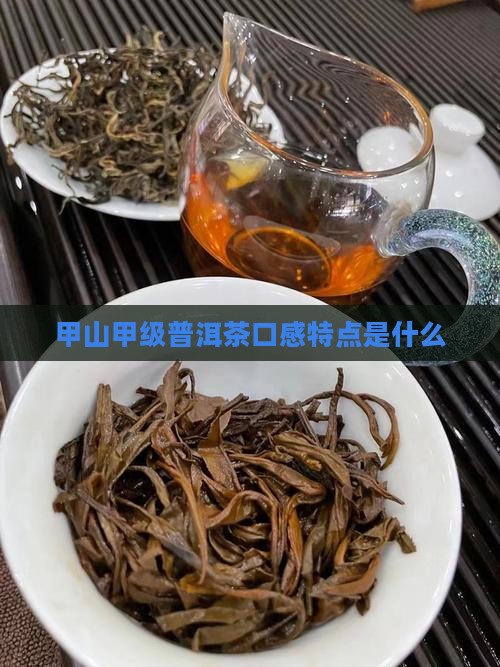 甲山普洱茶口感特点是什么