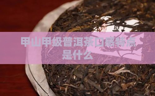 甲山普洱茶口感特点是什么